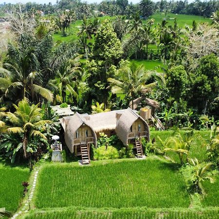 Kawig Bamboo House - Ricefield View, Eco Bamboo Home Tampaksiring Bagian luar foto