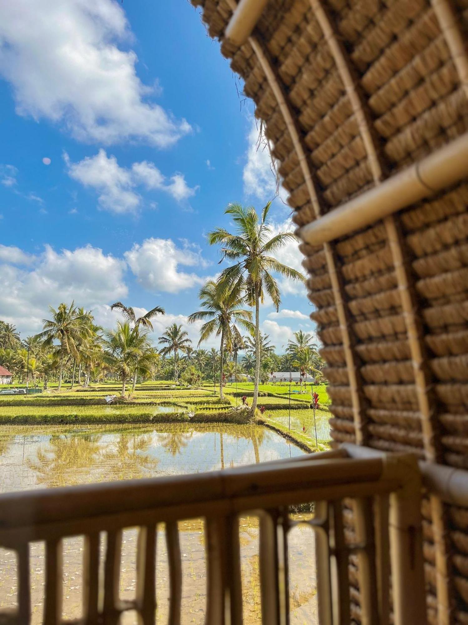 Kawig Bamboo House - Ricefield View, Eco Bamboo Home Tampaksiring Bagian luar foto