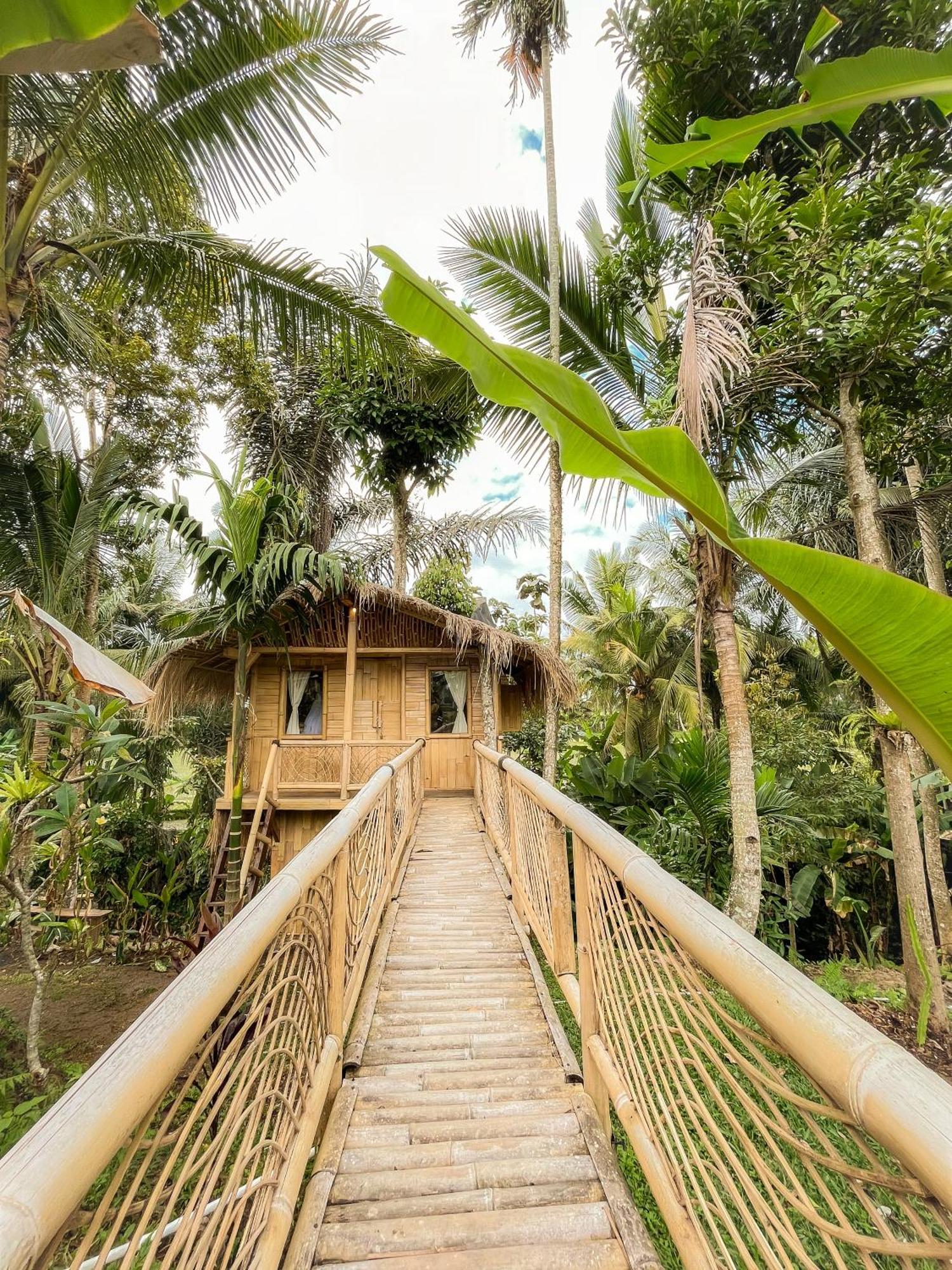 Kawig Bamboo House - Ricefield View, Eco Bamboo Home Tampaksiring Bagian luar foto