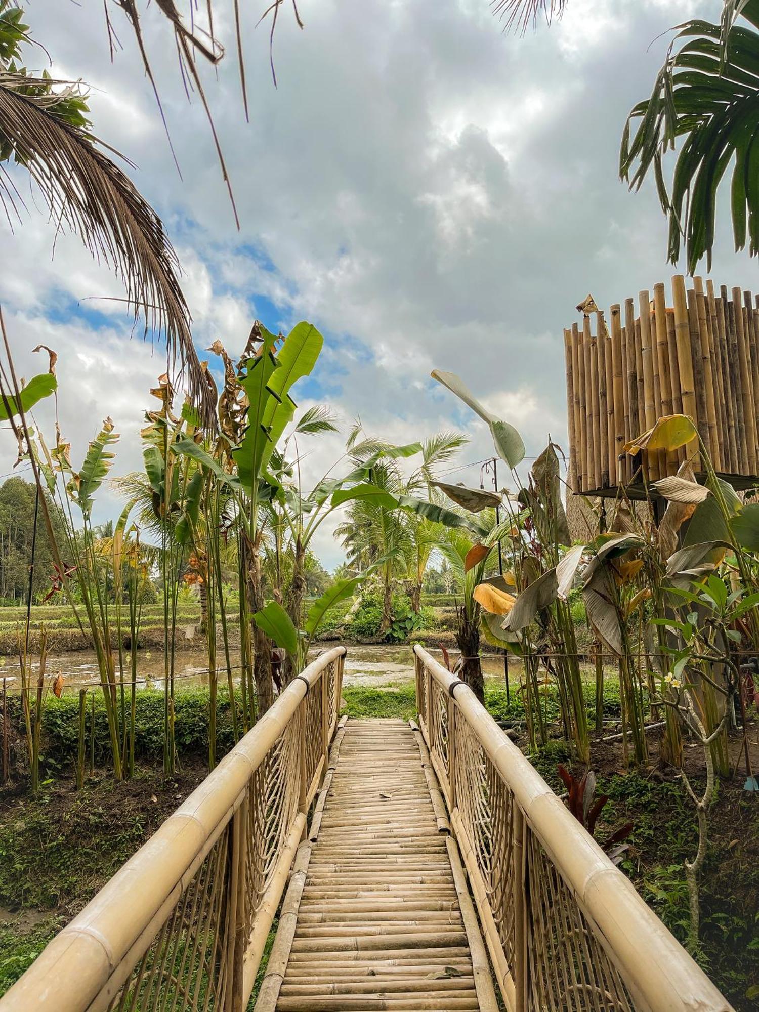 Kawig Bamboo House - Ricefield View, Eco Bamboo Home Tampaksiring Bagian luar foto