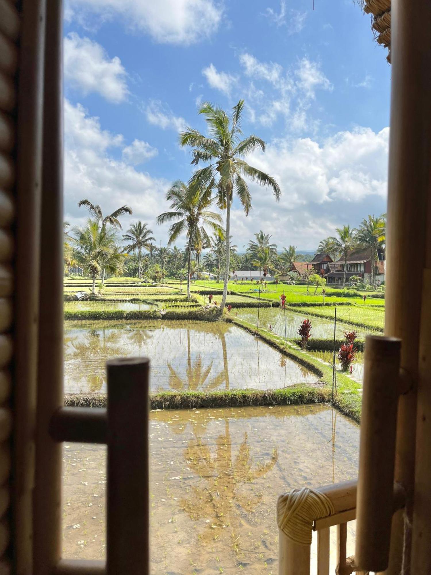 Kawig Bamboo House - Ricefield View, Eco Bamboo Home Tampaksiring Bagian luar foto