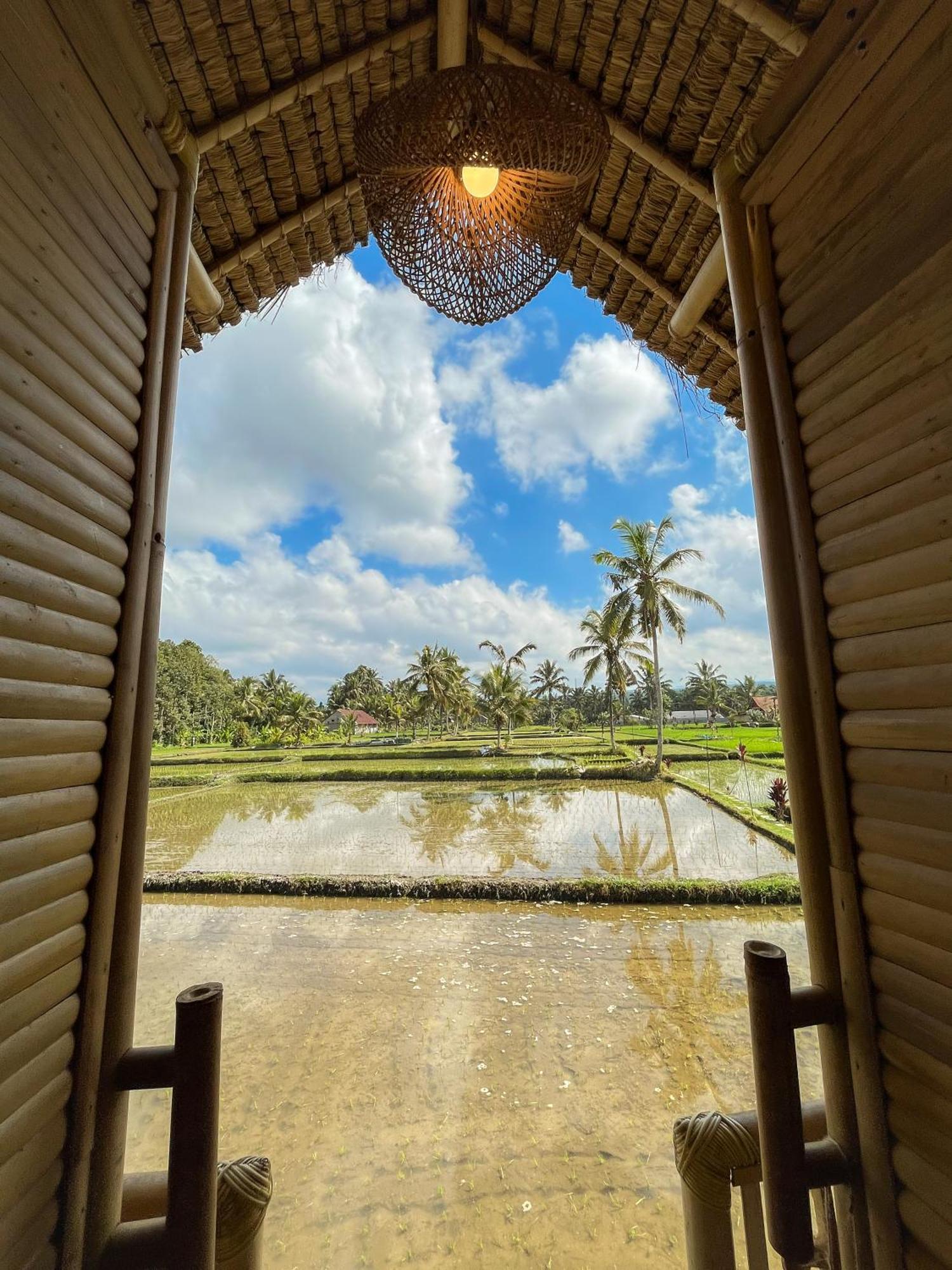 Kawig Bamboo House - Ricefield View, Eco Bamboo Home Tampaksiring Bagian luar foto