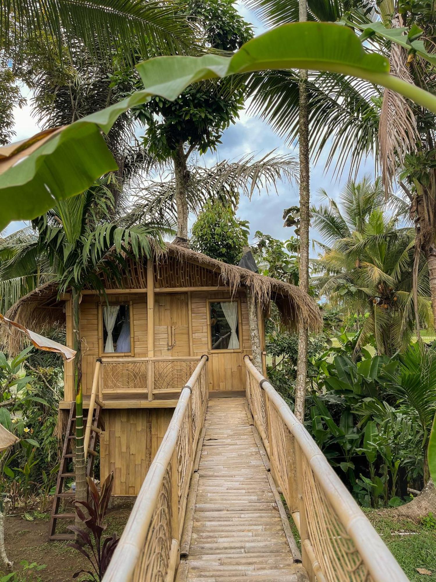 Kawig Bamboo House - Ricefield View, Eco Bamboo Home Tampaksiring Bagian luar foto