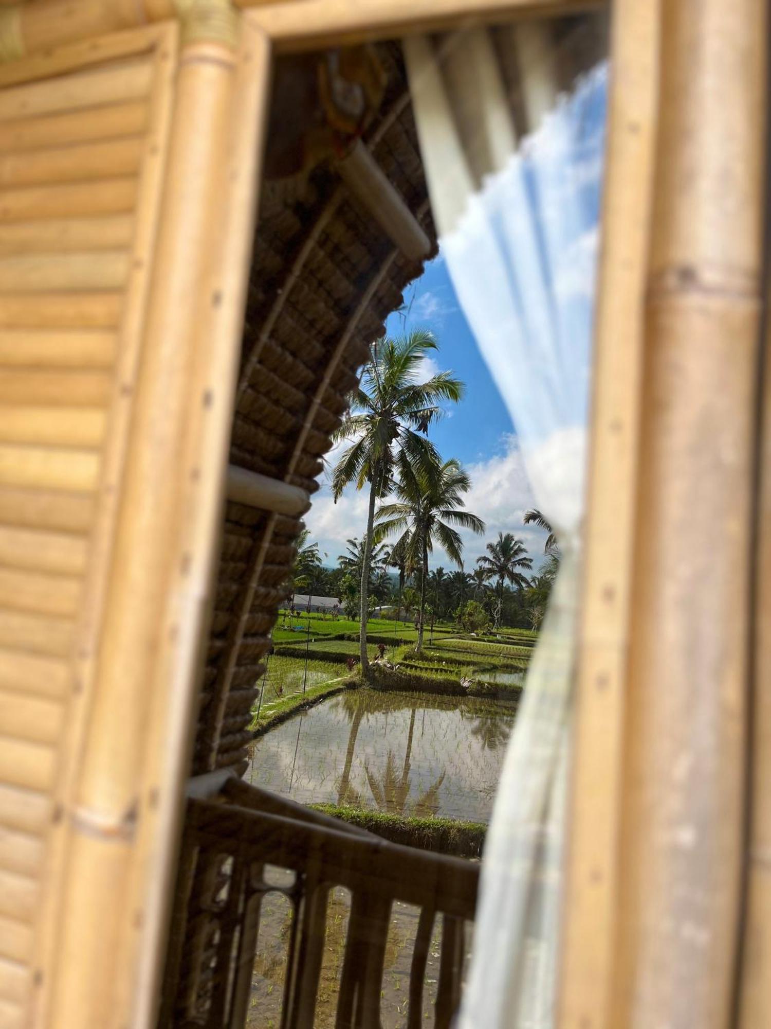 Kawig Bamboo House - Ricefield View, Eco Bamboo Home Tampaksiring Bagian luar foto