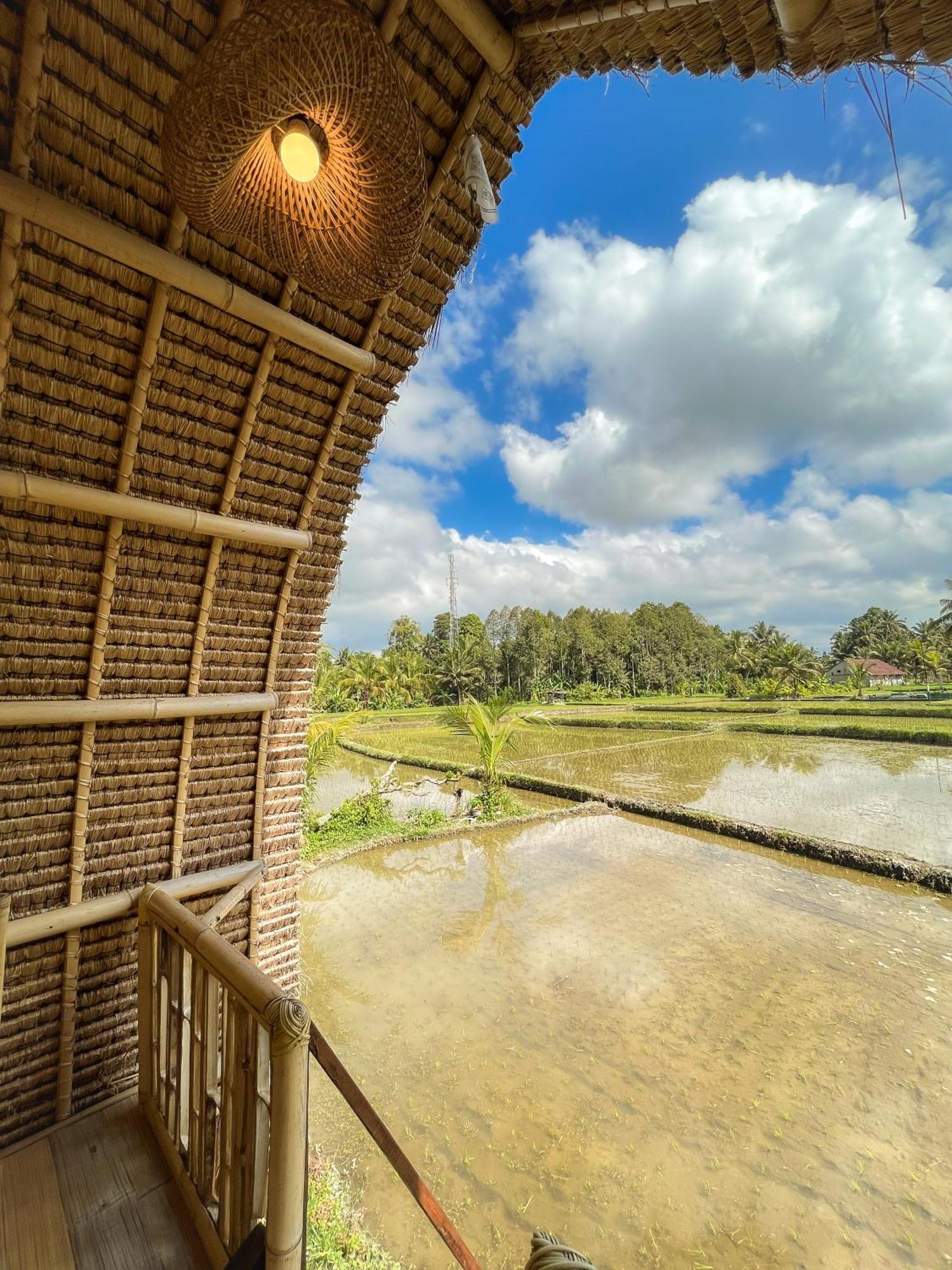 Kawig Bamboo House - Ricefield View, Eco Bamboo Home Tampaksiring Bagian luar foto