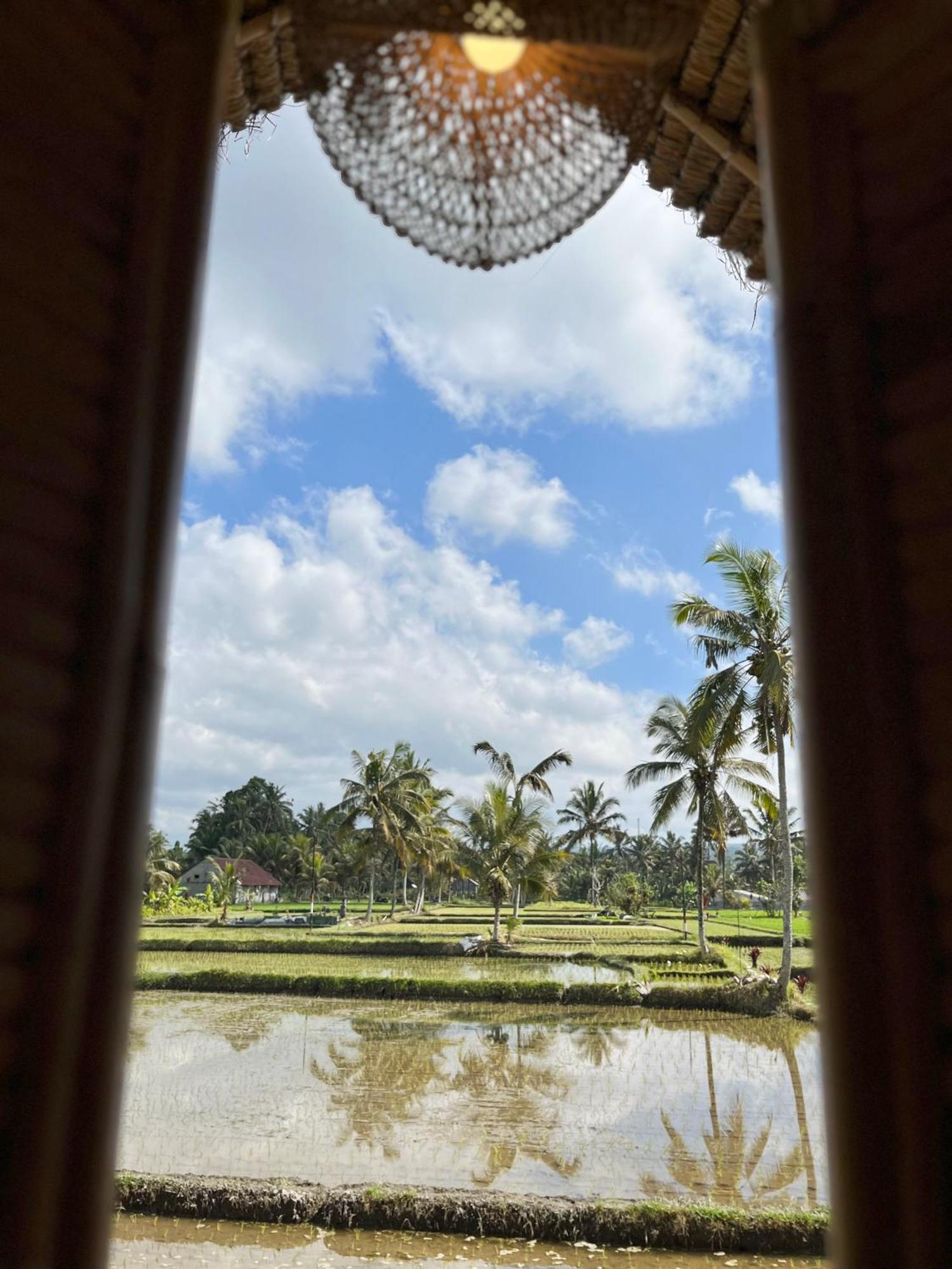 Kawig Bamboo House - Ricefield View, Eco Bamboo Home Tampaksiring Bagian luar foto