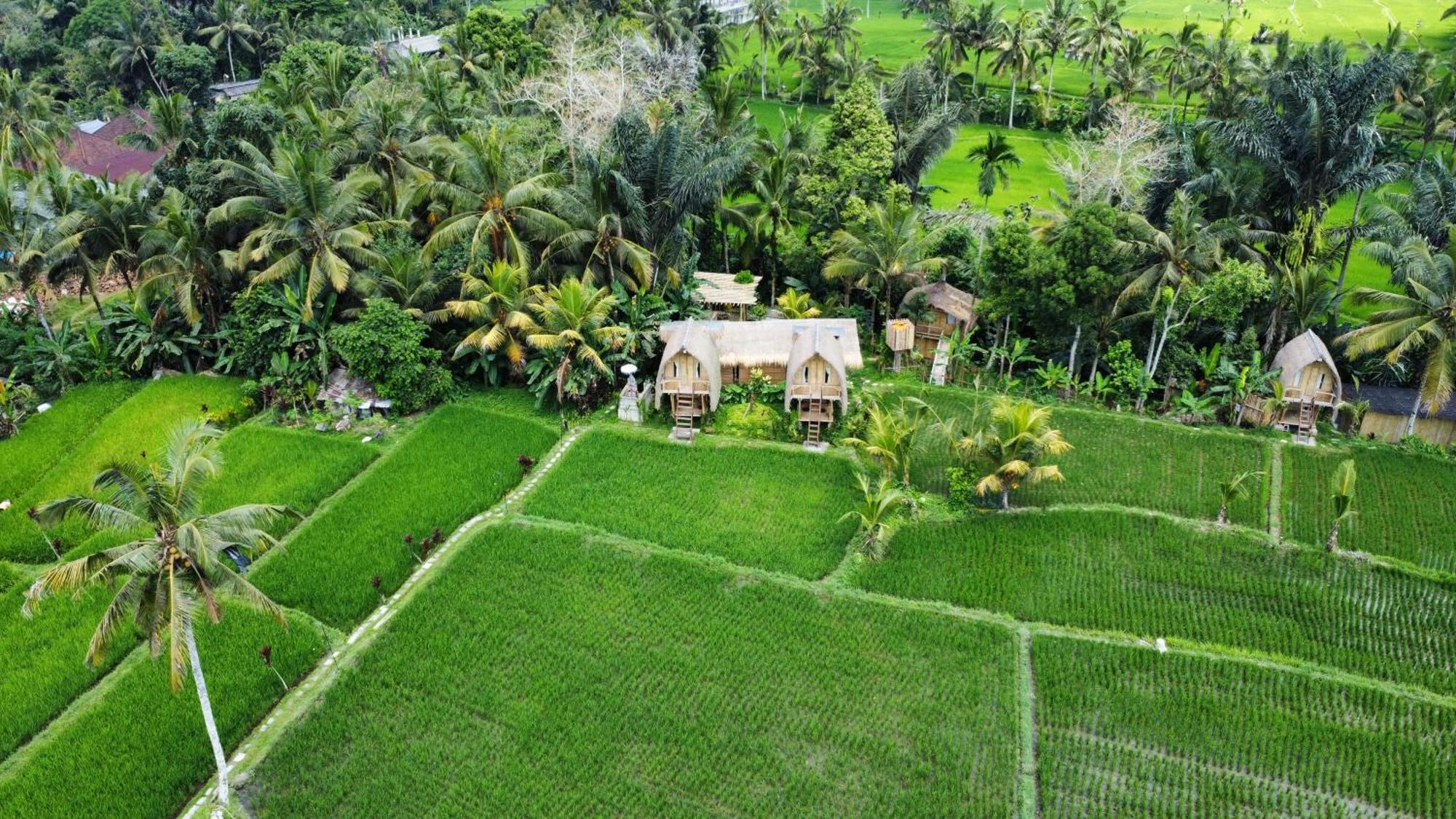Kawig Bamboo House - Ricefield View, Eco Bamboo Home Tampaksiring Bagian luar foto