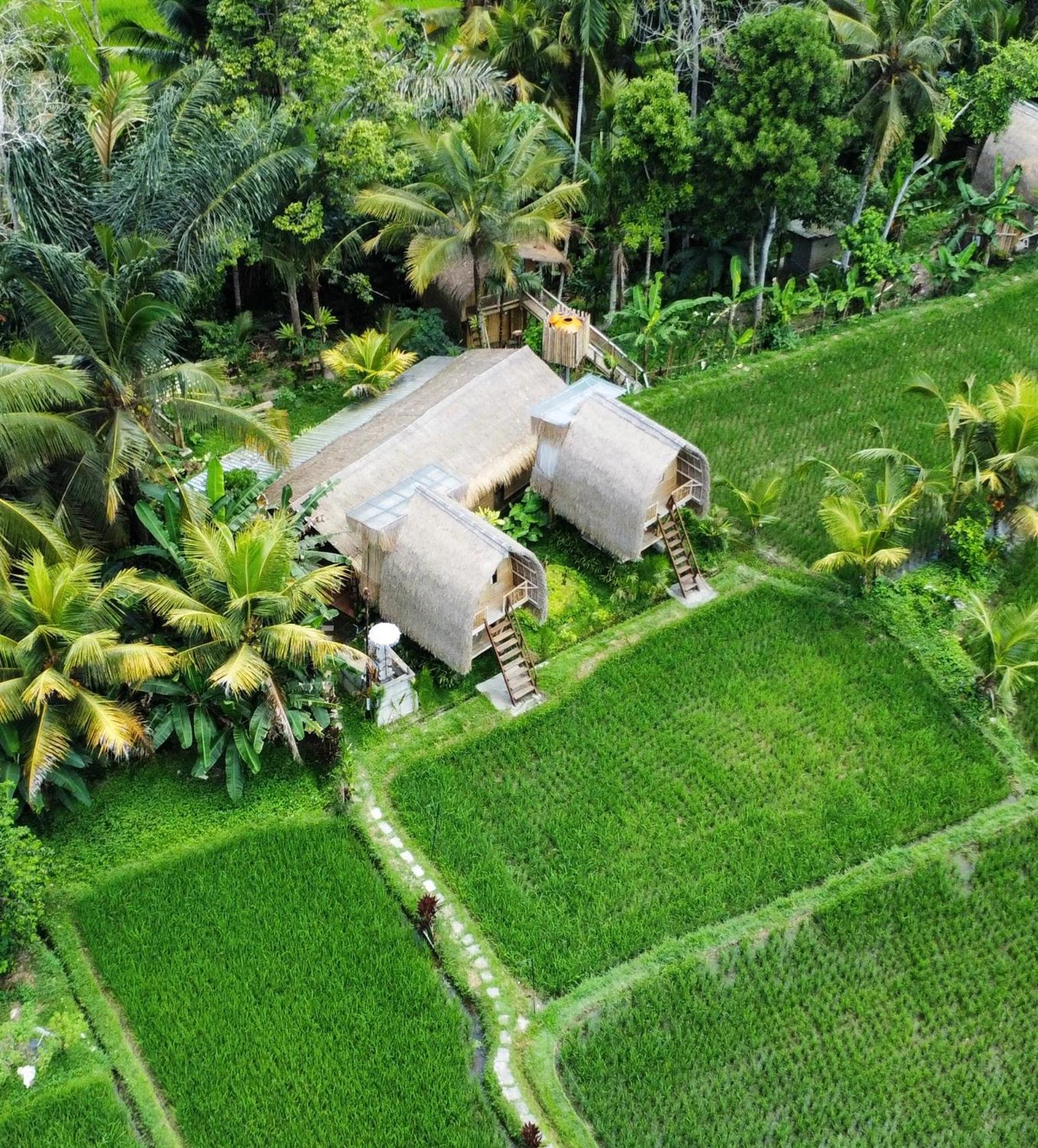 Kawig Bamboo House - Ricefield View, Eco Bamboo Home Tampaksiring Bagian luar foto